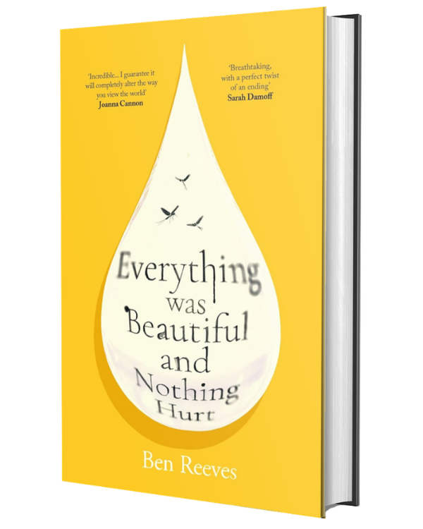 Everything was Beautiful and Nothing Hurt