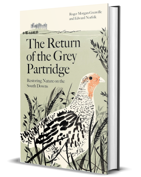 The Return of the Grey Partridge
