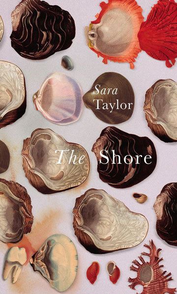 The Shore - Trade Edition