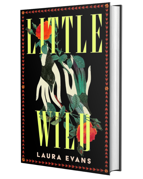 Little Wild