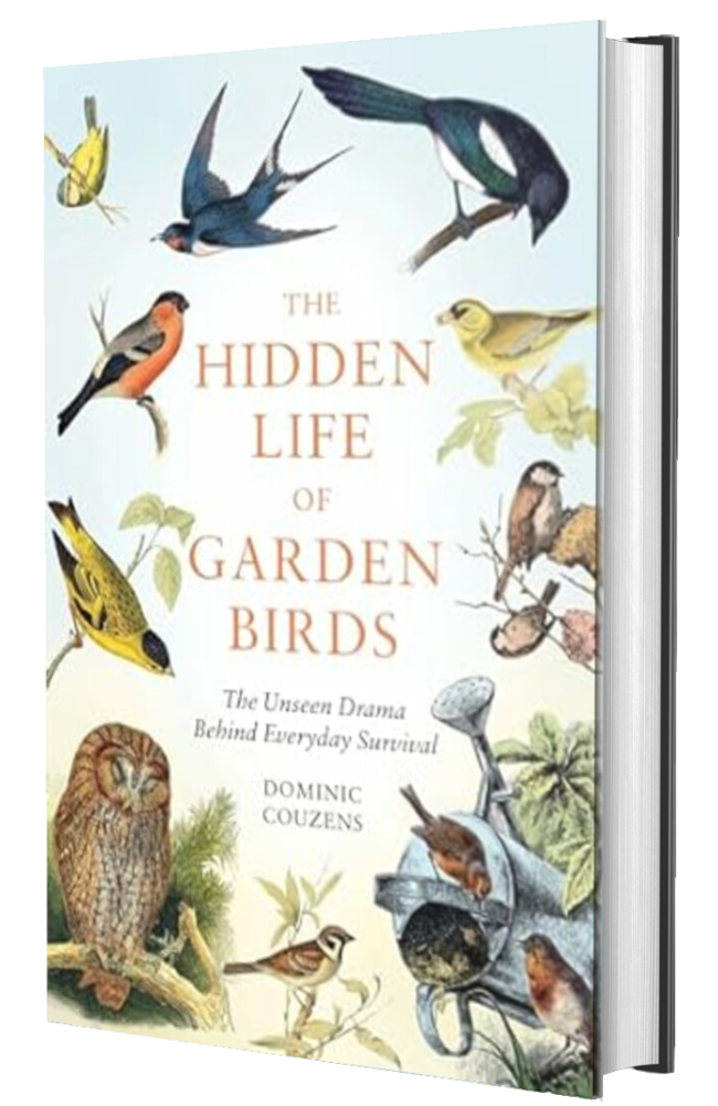 The Hidden Life of Garden Birds: The unseen drama behind everyday survival