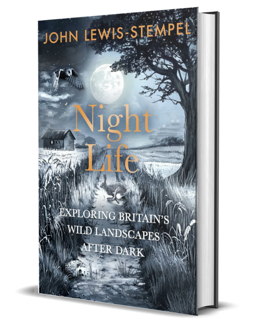 Night Life: Walking Britain’s wild landscapes after dark