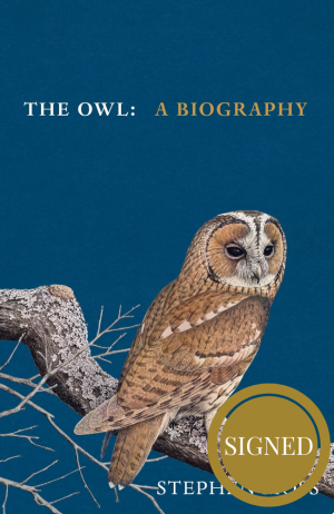 The Owl