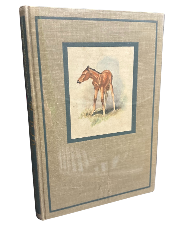 The Red Pony