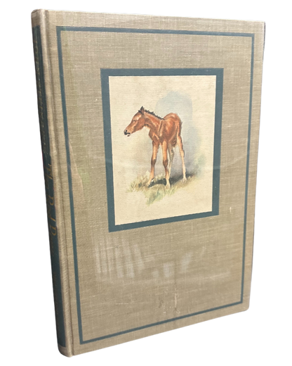 The Red Pony