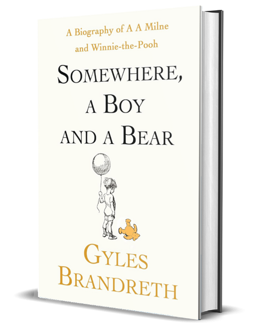 Somewhere, A Boy And A Bear
