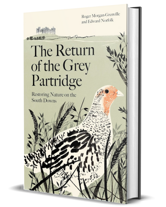 The Return of the Grey Partridge