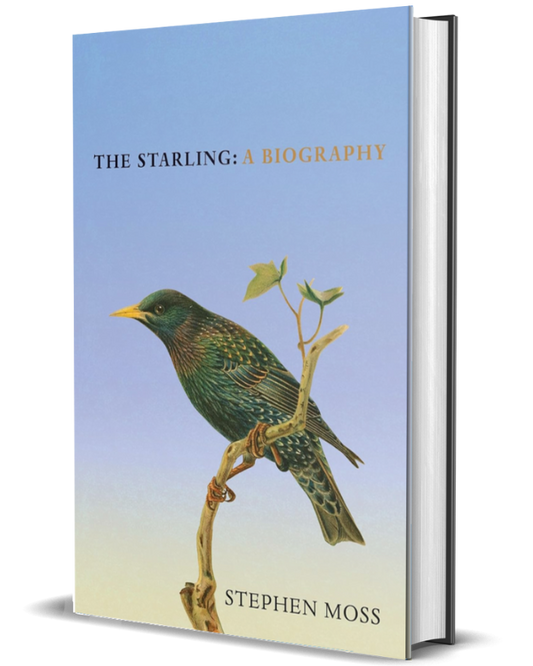 The Starling