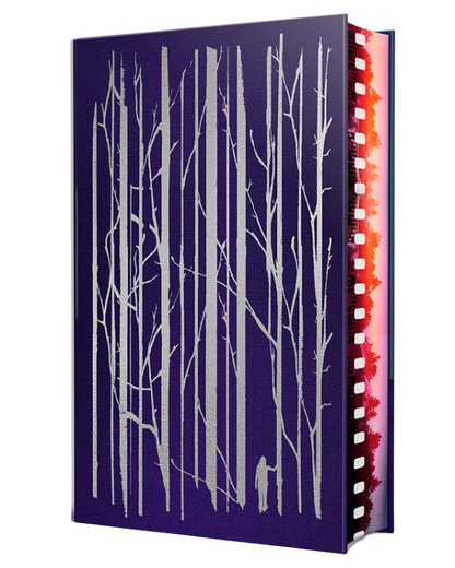 Darkrooms - Crime Collective Edition