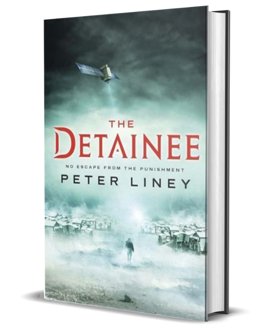 The Detainee