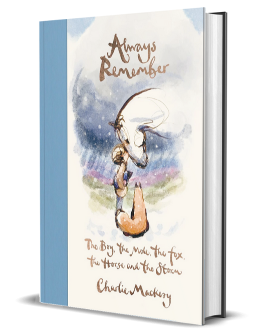 Always Remember: The Boy, the Mole, the Fox, the Horse and the Storm