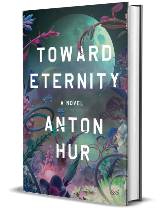 Toward Eternity: A Novel
