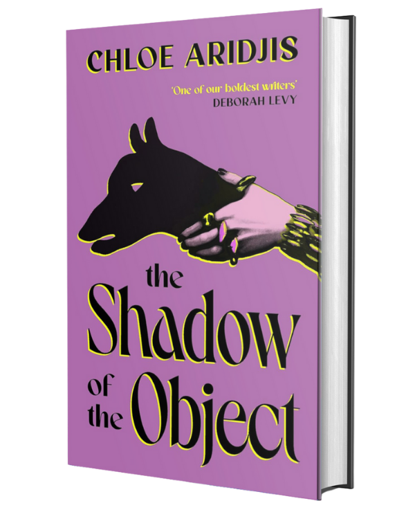 The Shadow of the Object